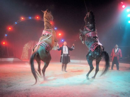 Cirque
